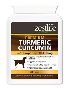 Zestlife Cúrcuma para perros 500 mg extracto equivalente a 10,000 mg